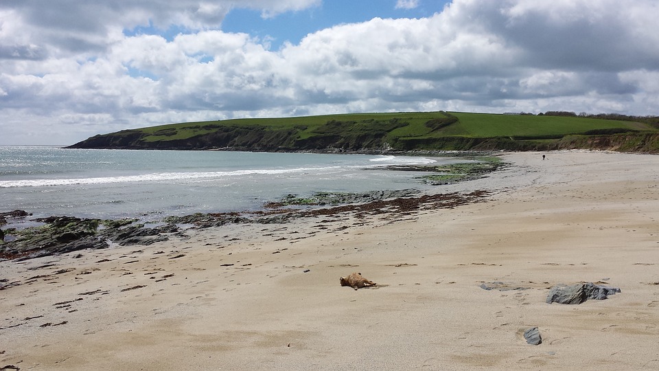 Englischkurse in Devon